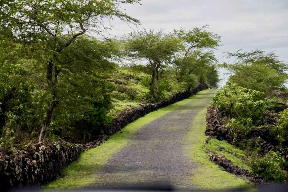 natuur Fogo