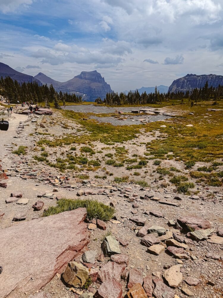 natuur Glacier National Park