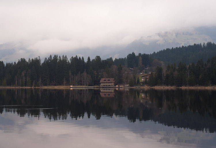 natuur kitzbuheler alpen oostenrijk