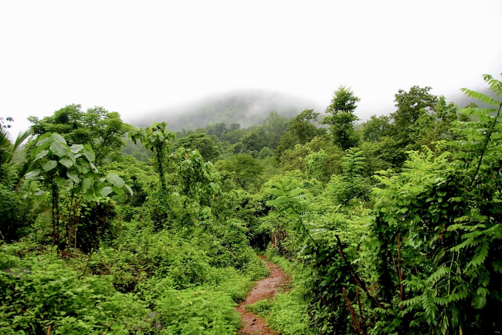 natuur zuid-india