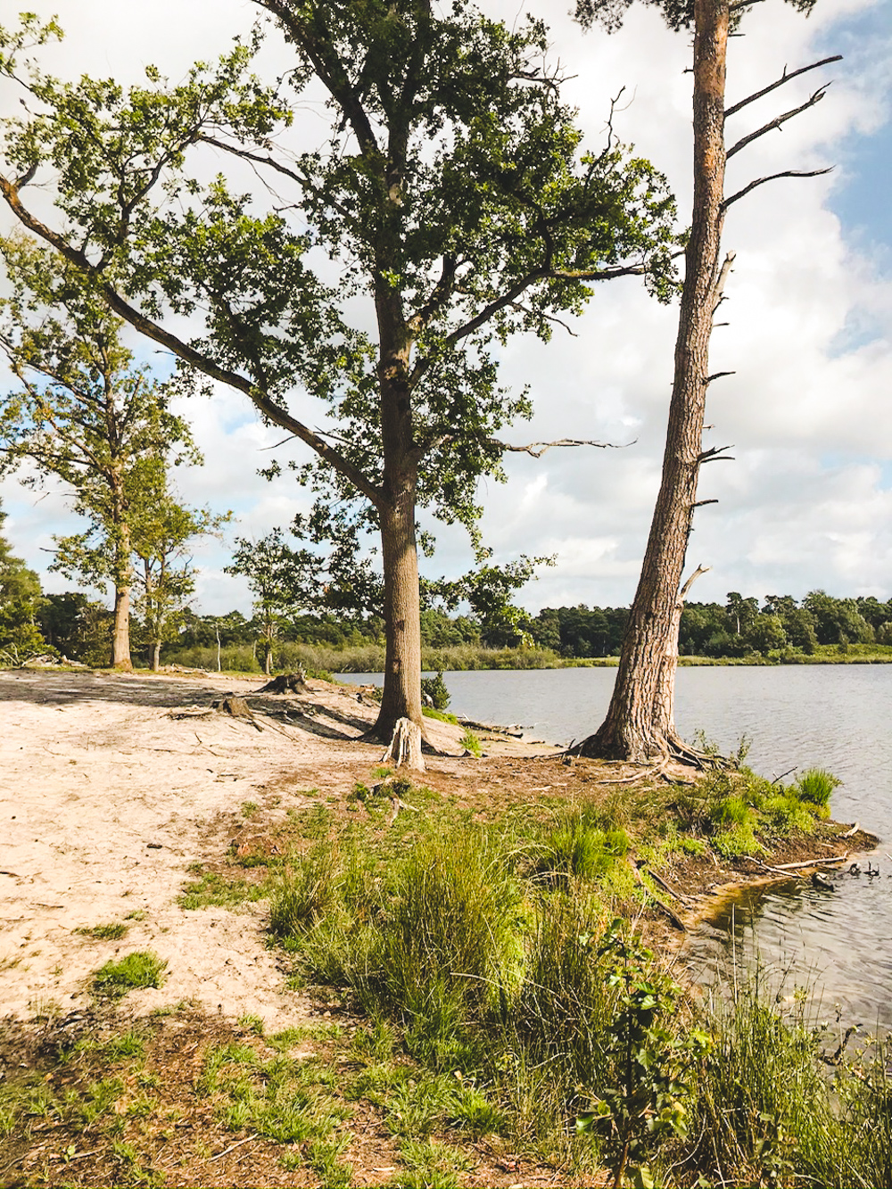 natuurgebied Kampina wandelen