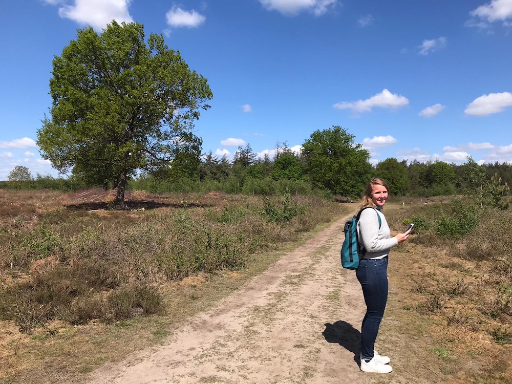 natuurgebied de Maashorst brabant