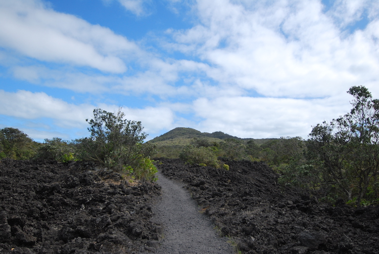 nieuw-zeeland Bezienswaardigheden noordereiland Rangitoto Island