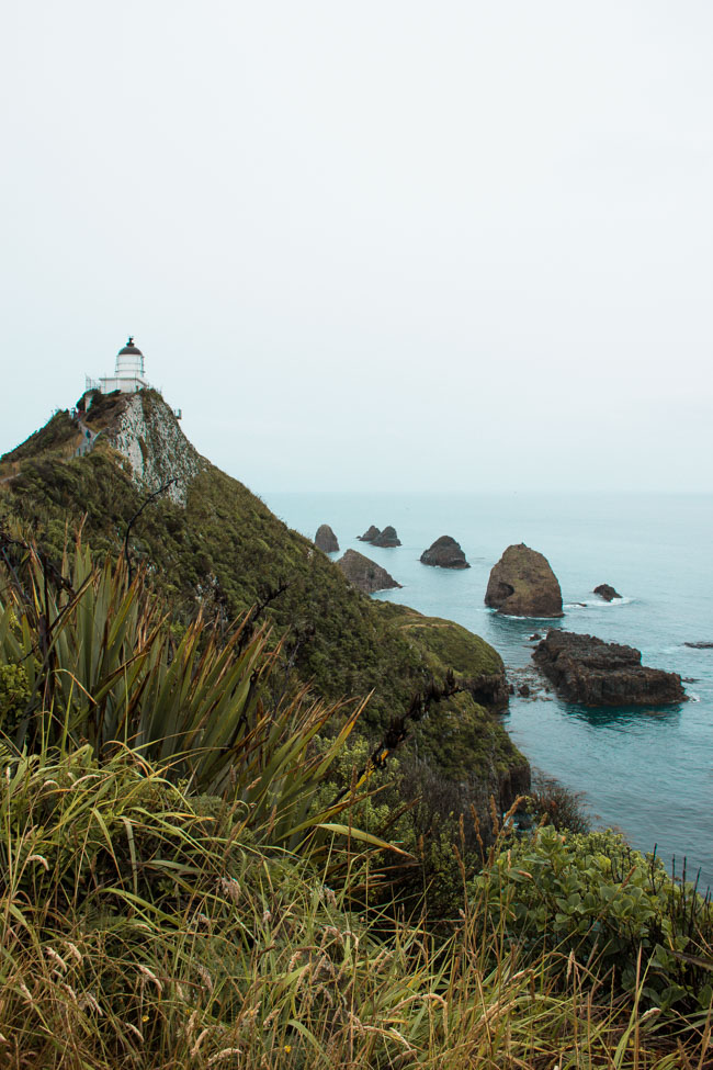 nieuw zeeland zuidereiland Nugget Point Lighthouse-2