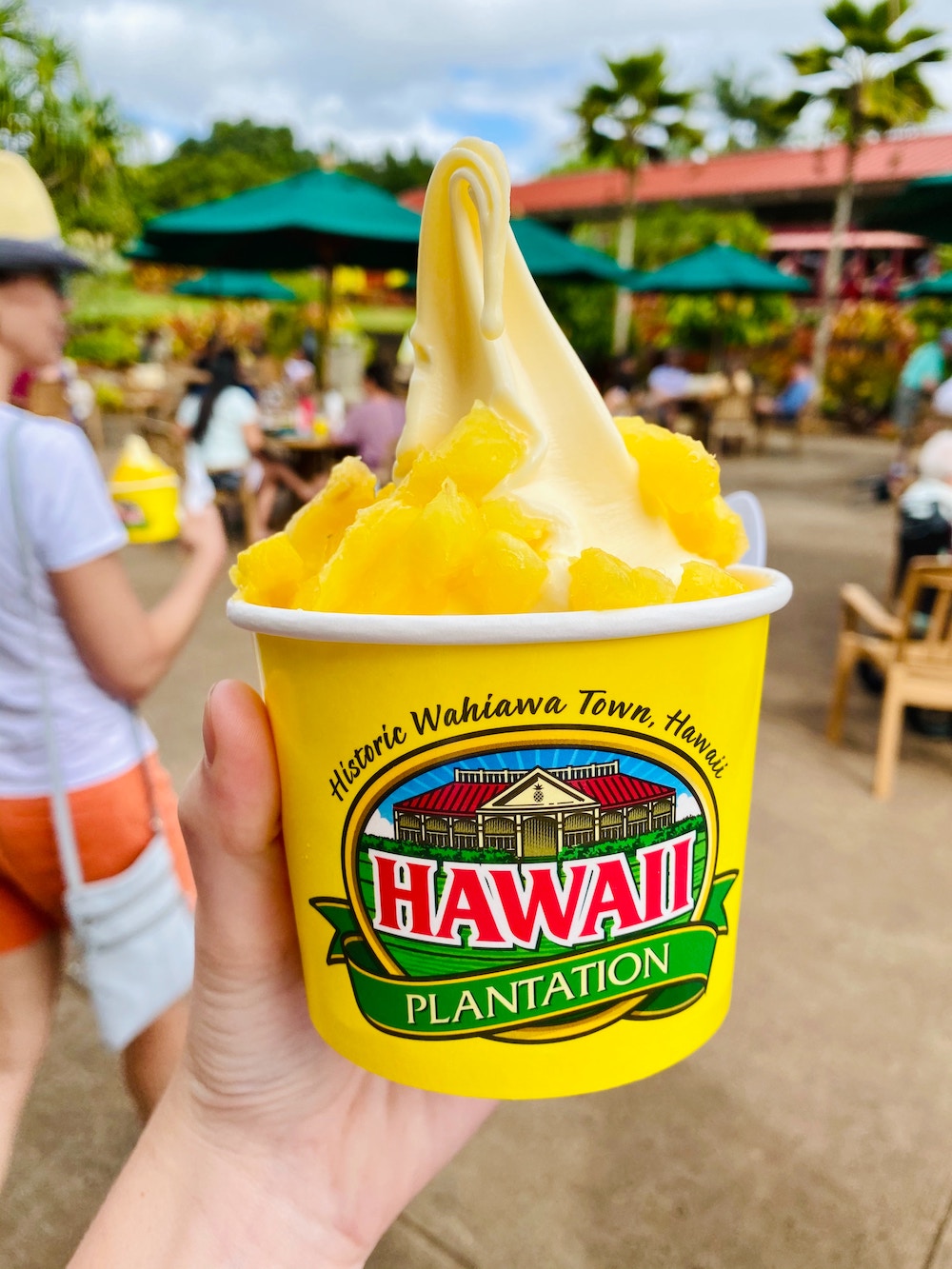 oahu island dole plantation