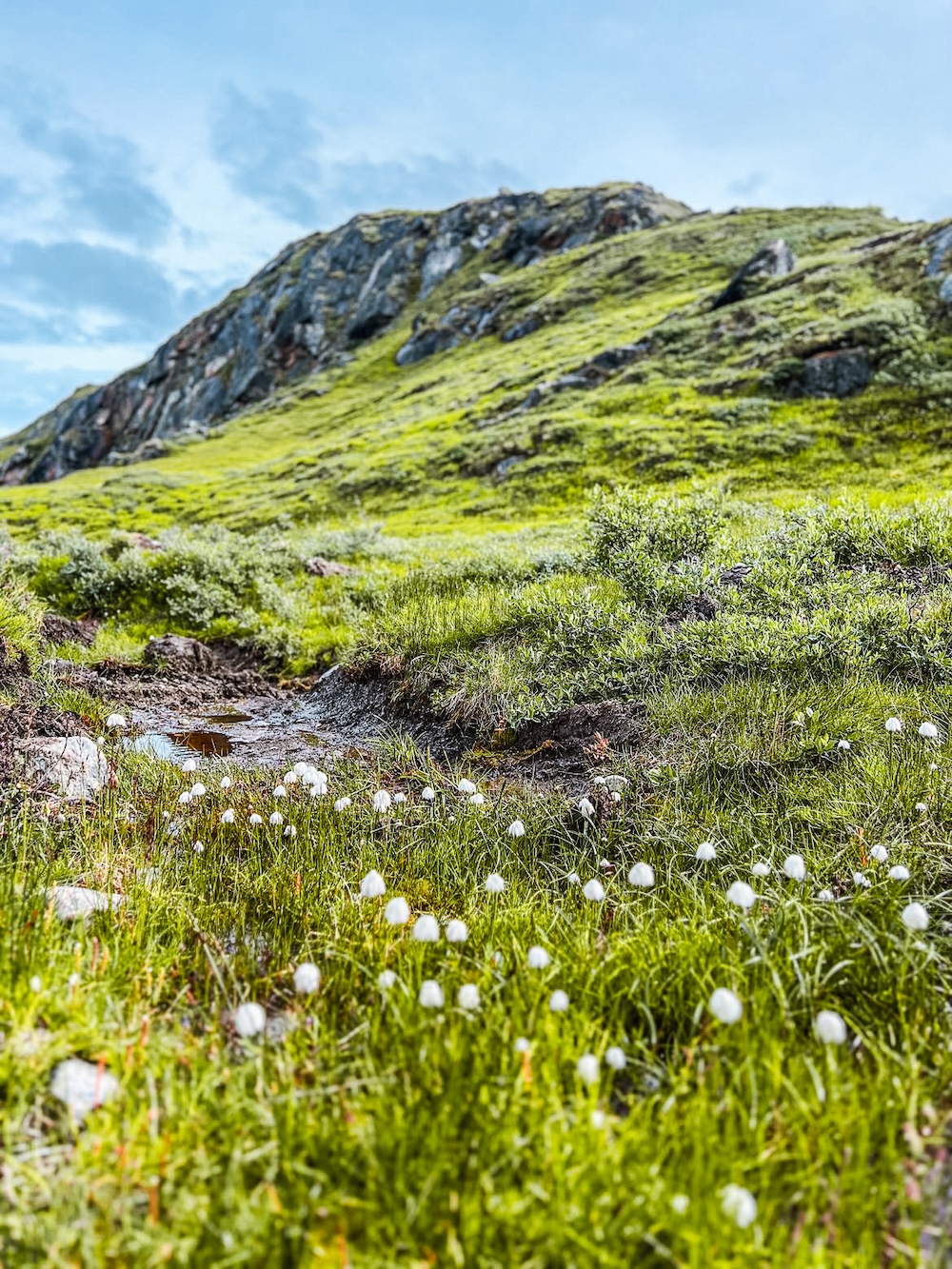 omgeving Kangerlussuaq