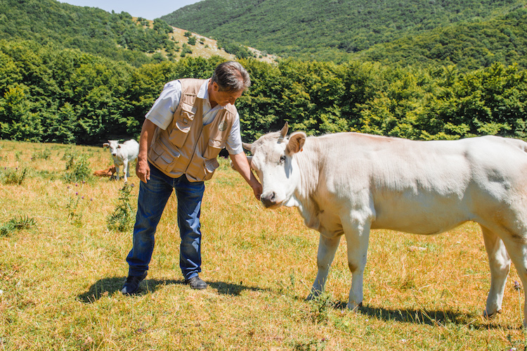 onbekend italie umbrie Monte Cucco