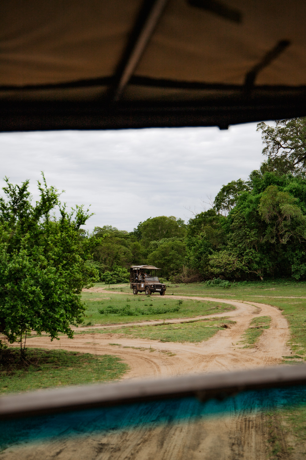 op safari in tanzania zanzibar