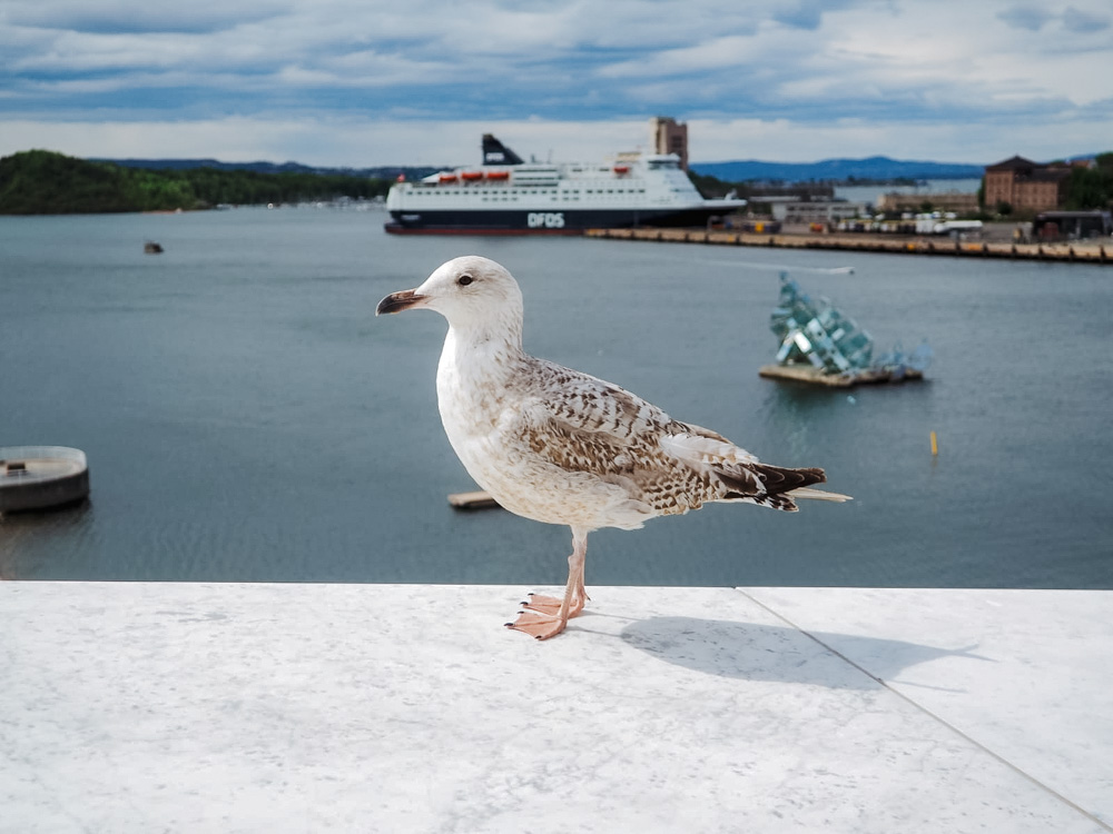 oslo bezienswaardigheden tipsUitzicht Operahuis oslofjord