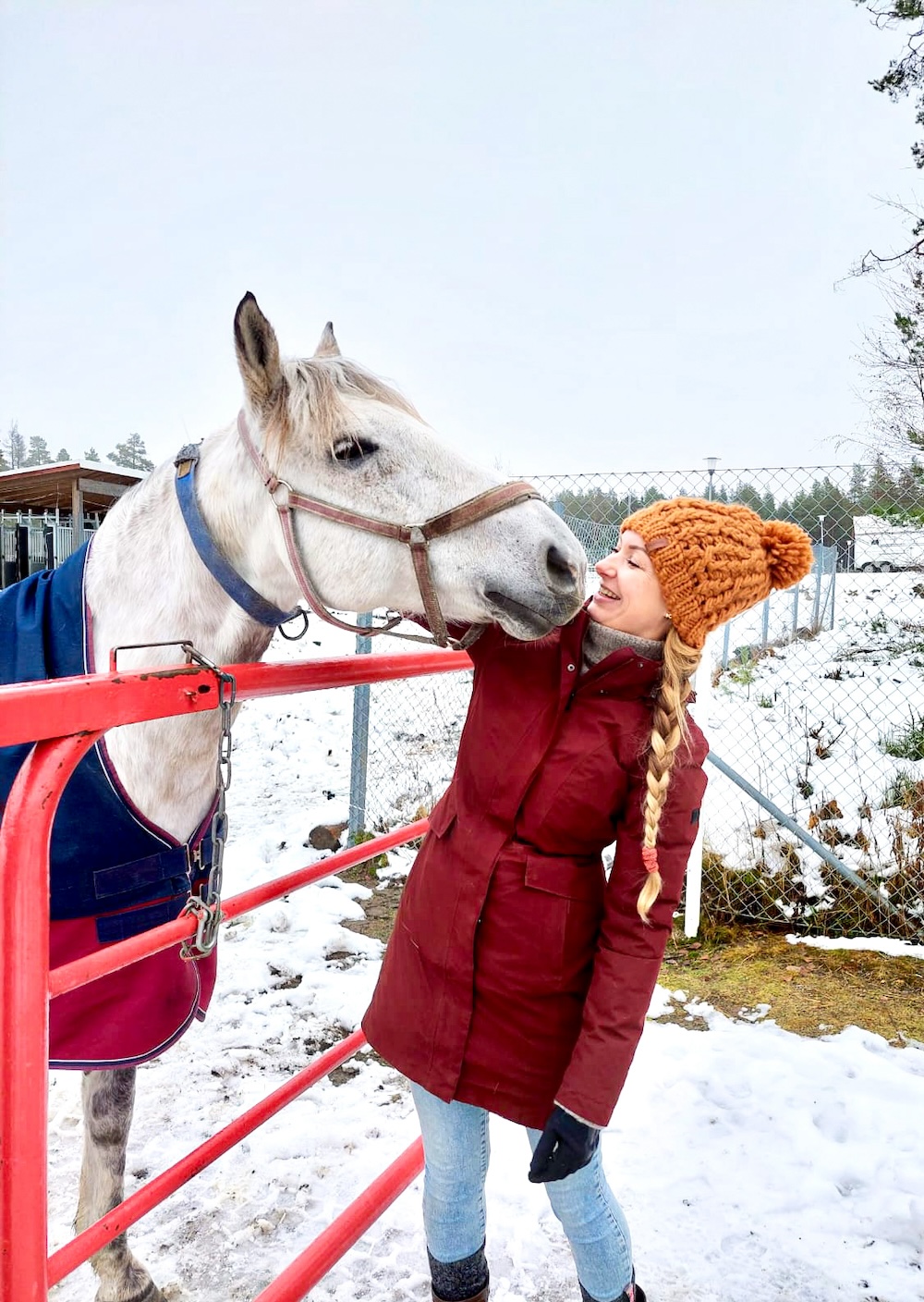 paard in Lulea