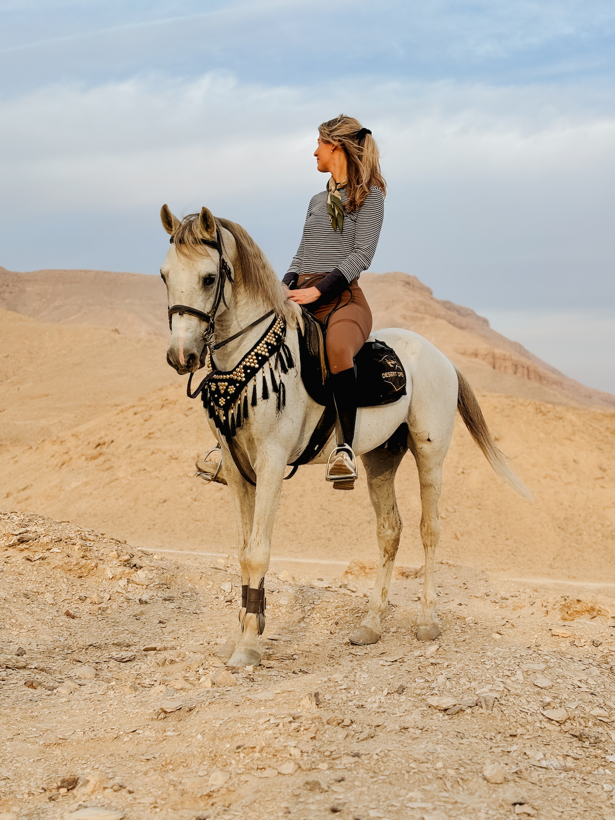 paardrijden in egypte