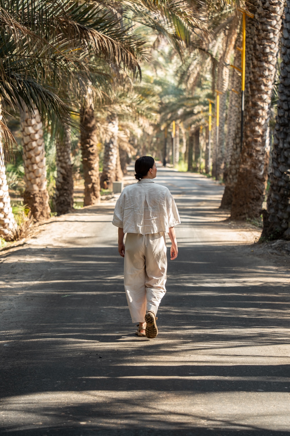 palmbomen Wadi Shab