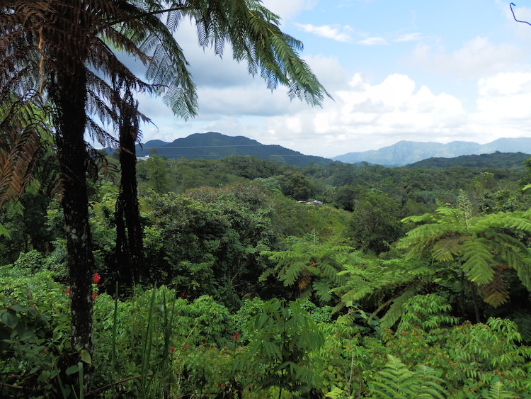 Panoramic Route caribbean puerto rico