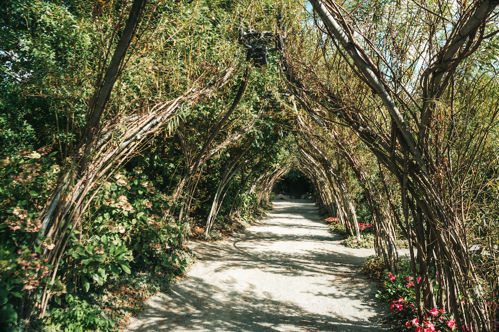 pays de la loire, terra botanica