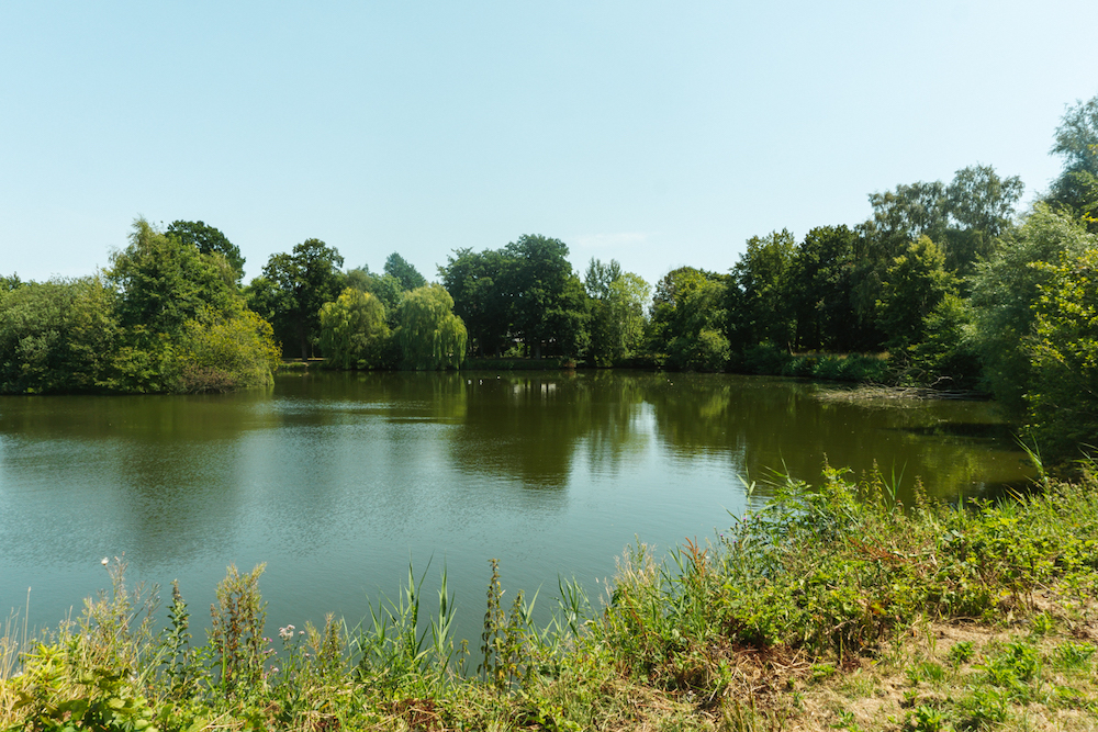 picknicklocatie bij gravenhorst