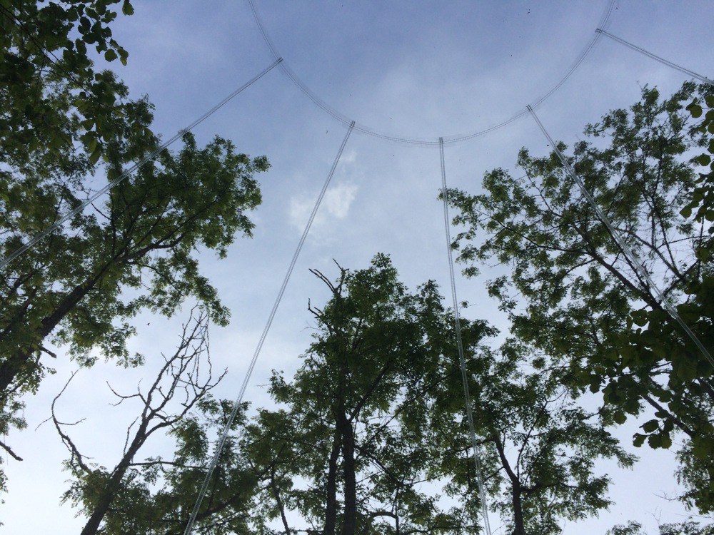 plafond-vanuit-bubble-tent-frankrijk