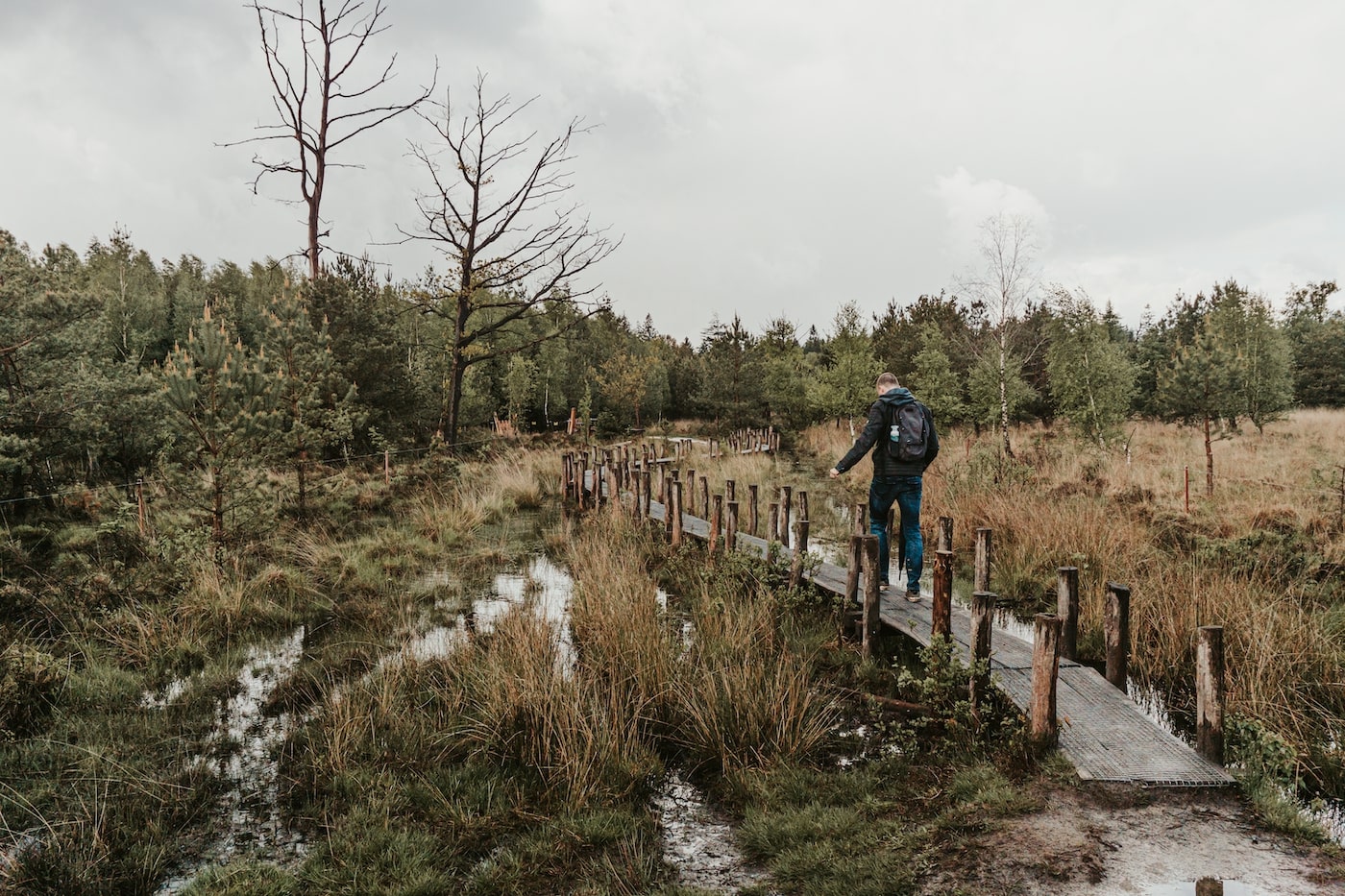 plankenpad Drenthe