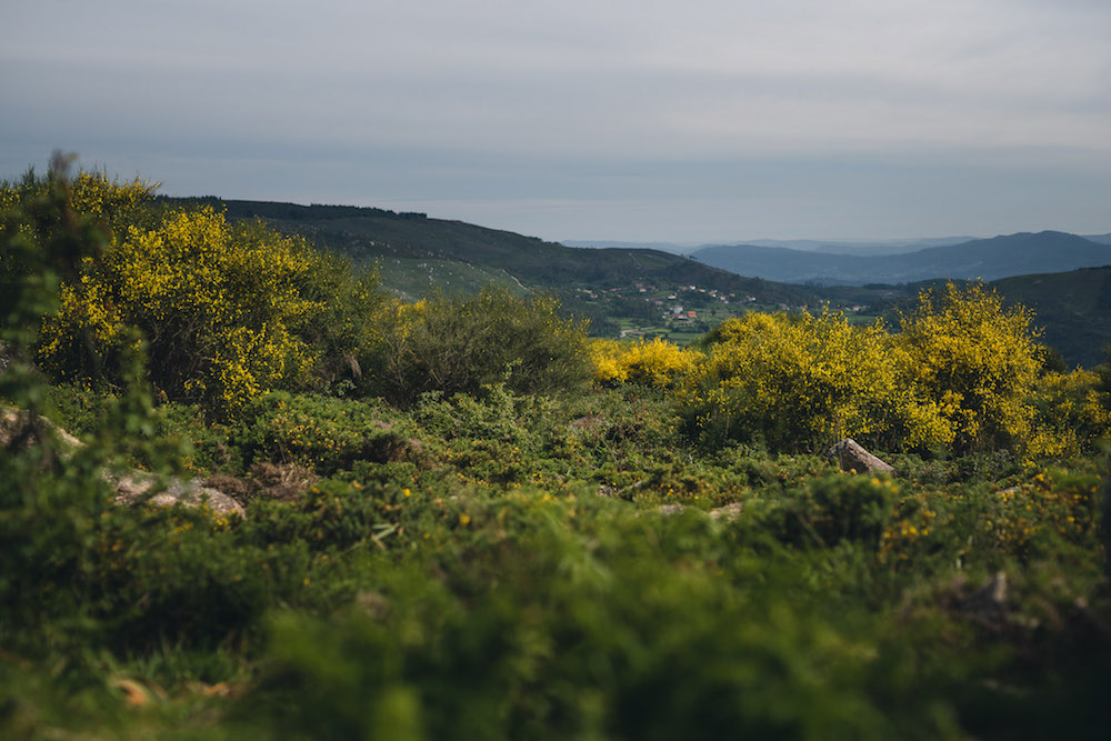 portugal wandeling eindeloze natuur