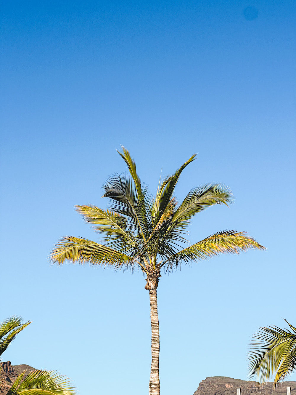 puerto de mogán bezienswaardigheden gran canaria