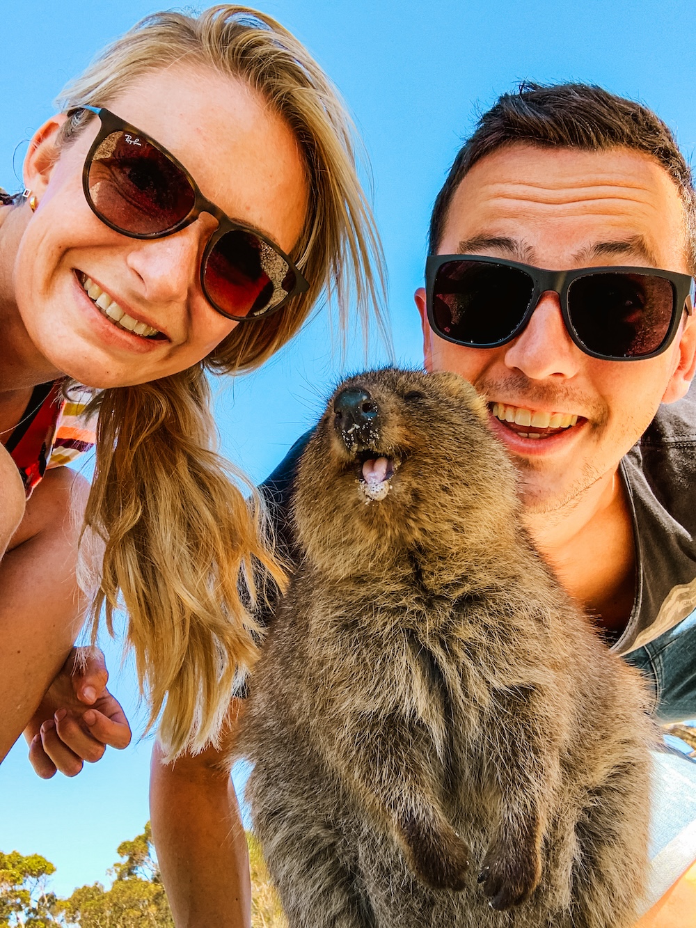 quokka selfie