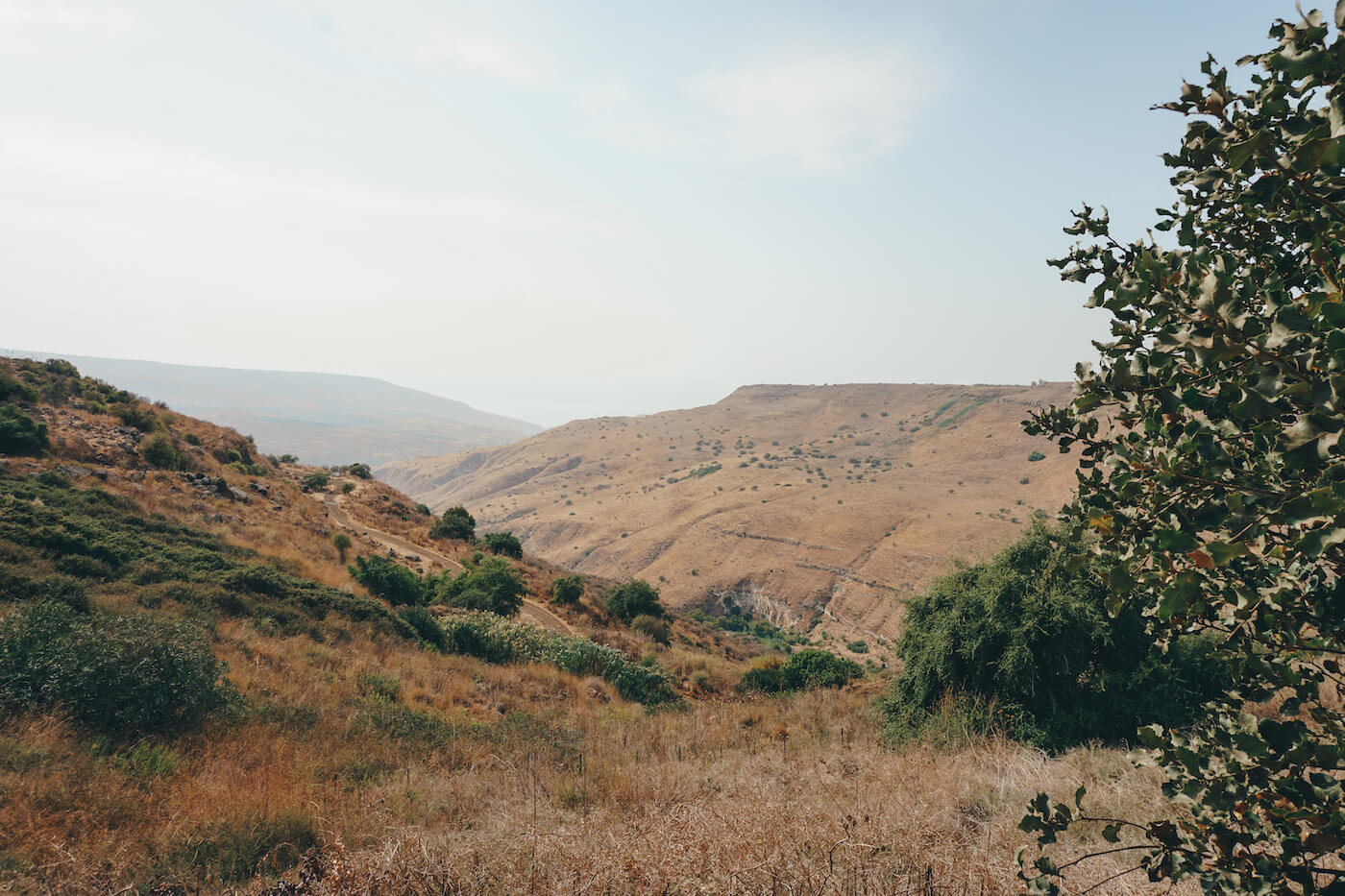 reizen naar israel Ruines natuur