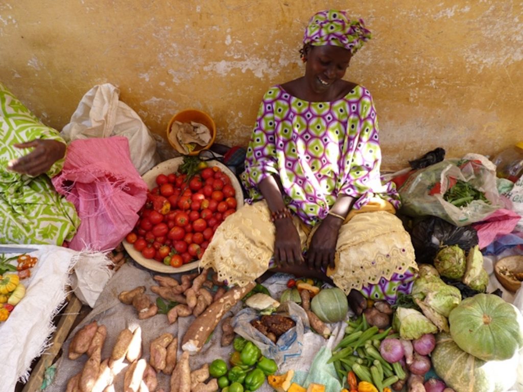 reizen naar senegal markt van ndioum