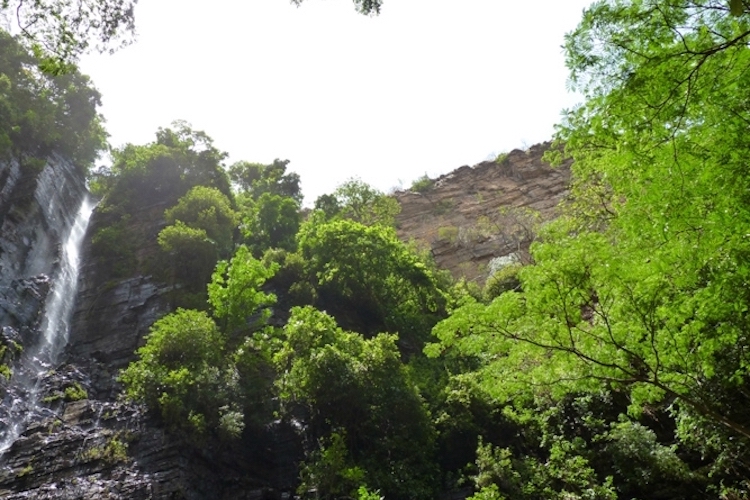 reizen naar senegal waterval dindefelo