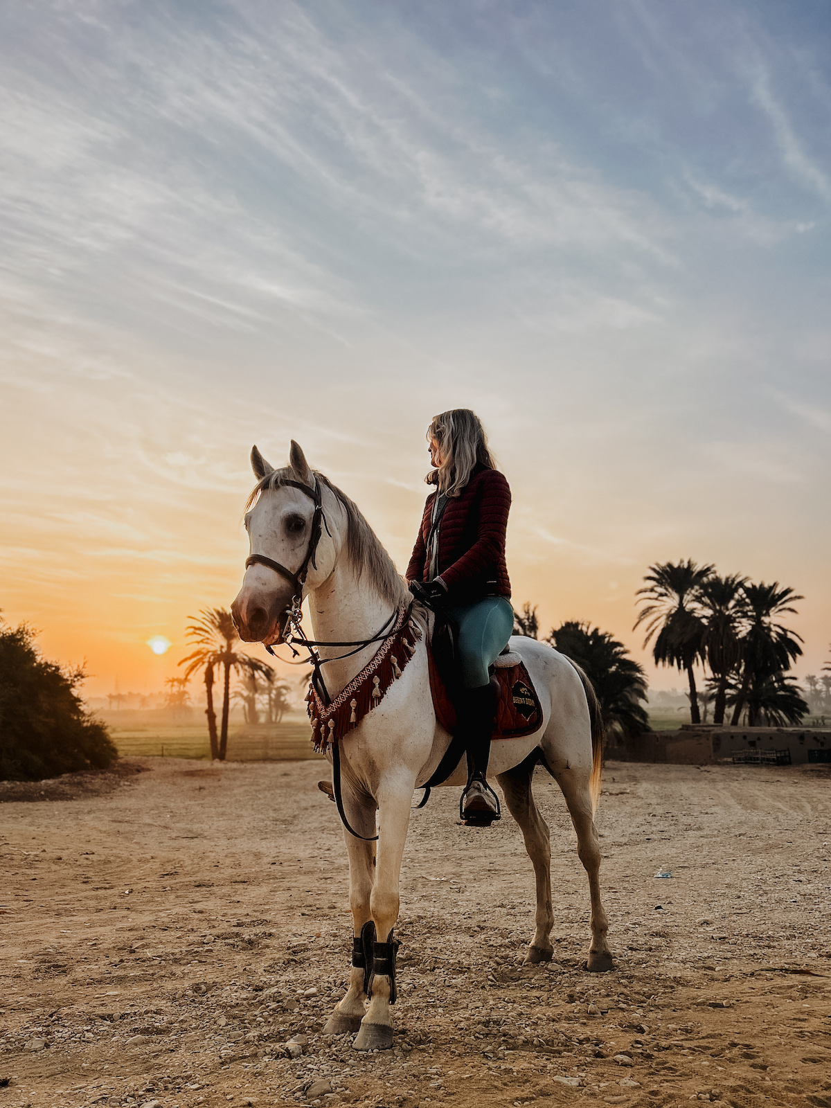 retreat met paarden egypte yoga luxor