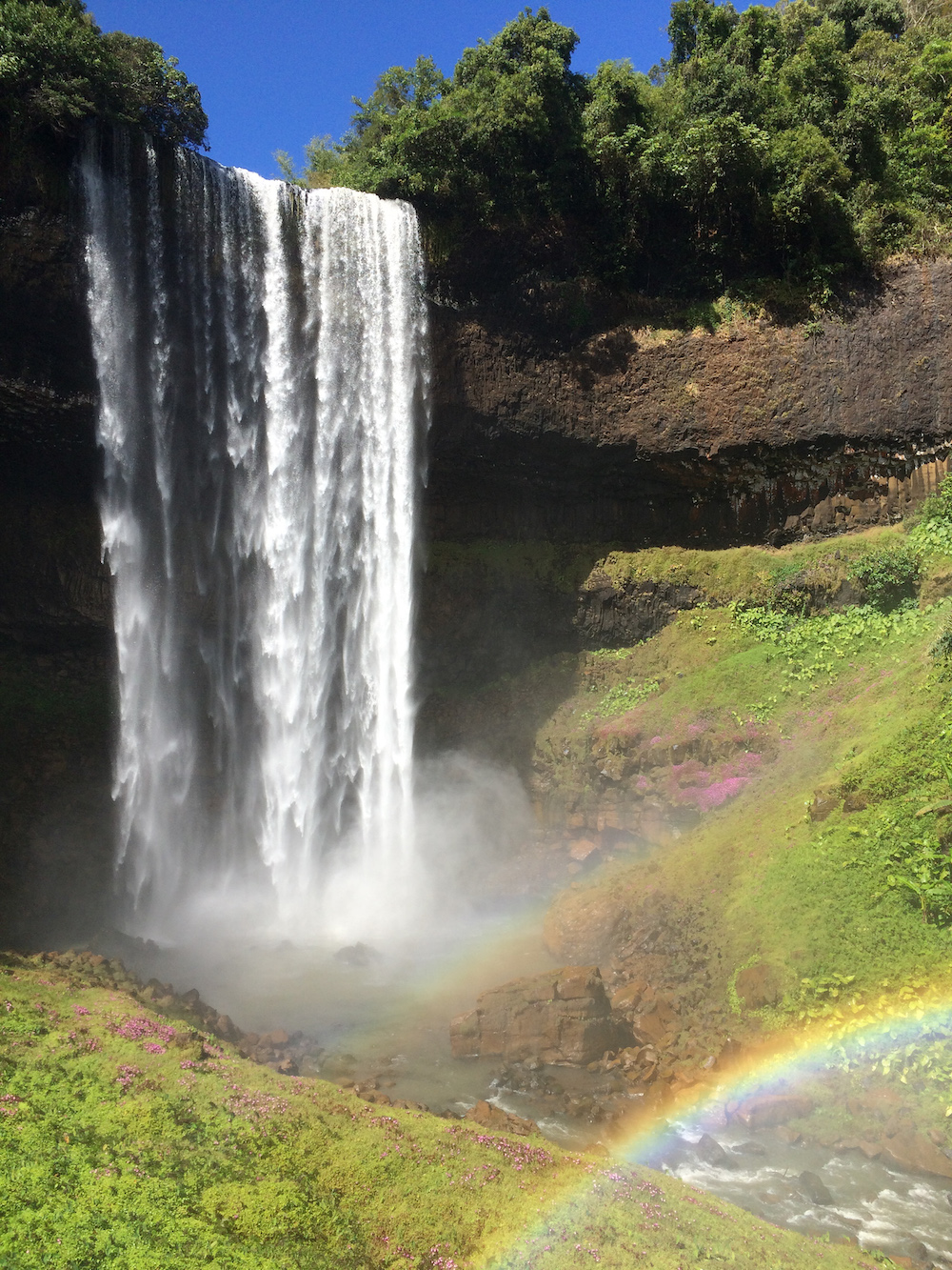 reusachtige waterval tad laos bolaven