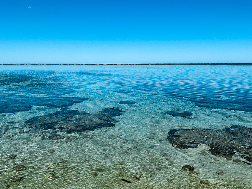 rif rondom Lady Elliot Island