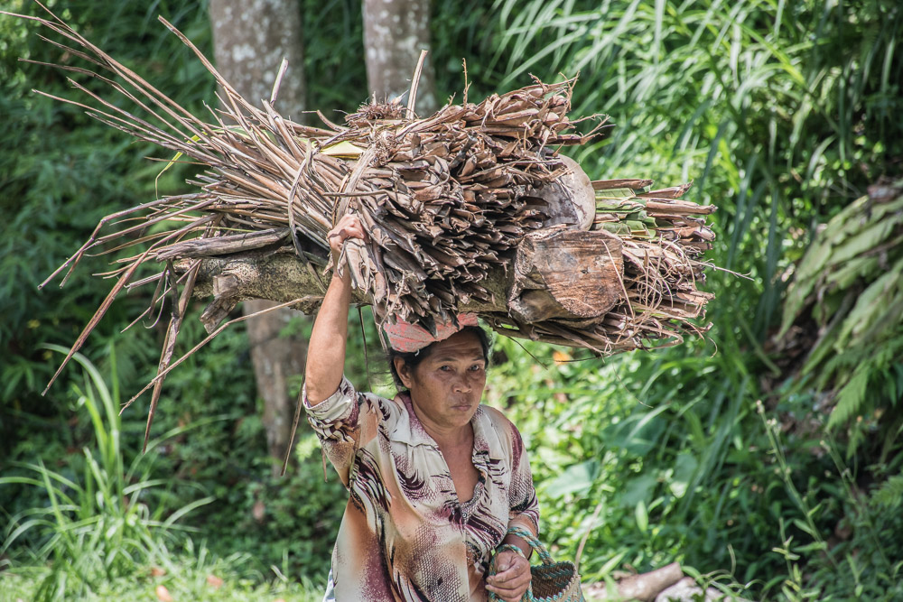 rijstvelden bali_