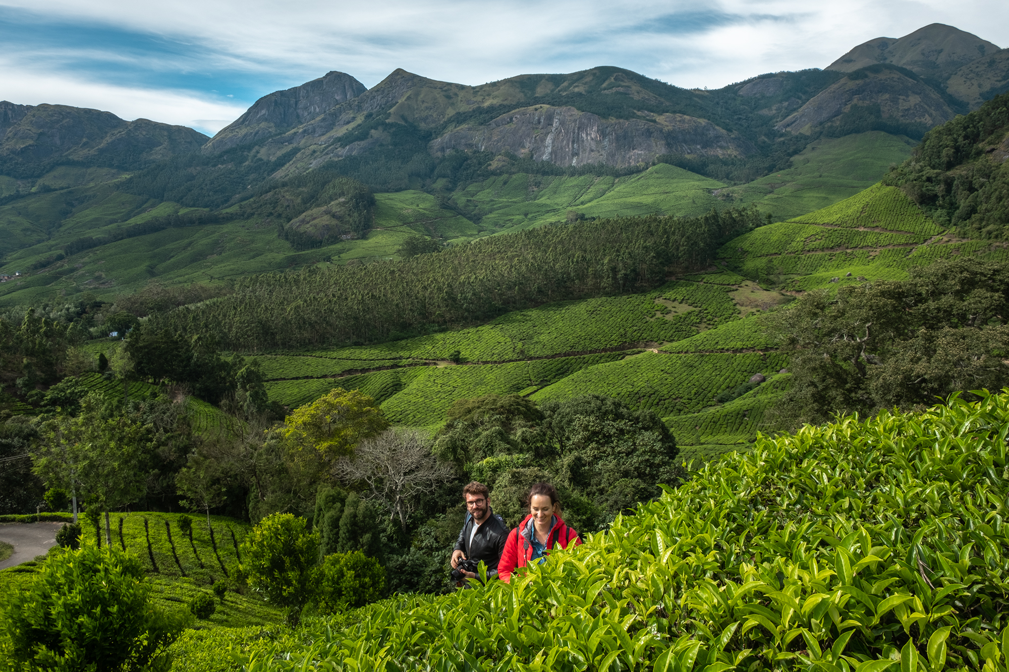 rondreis zuid india munnar