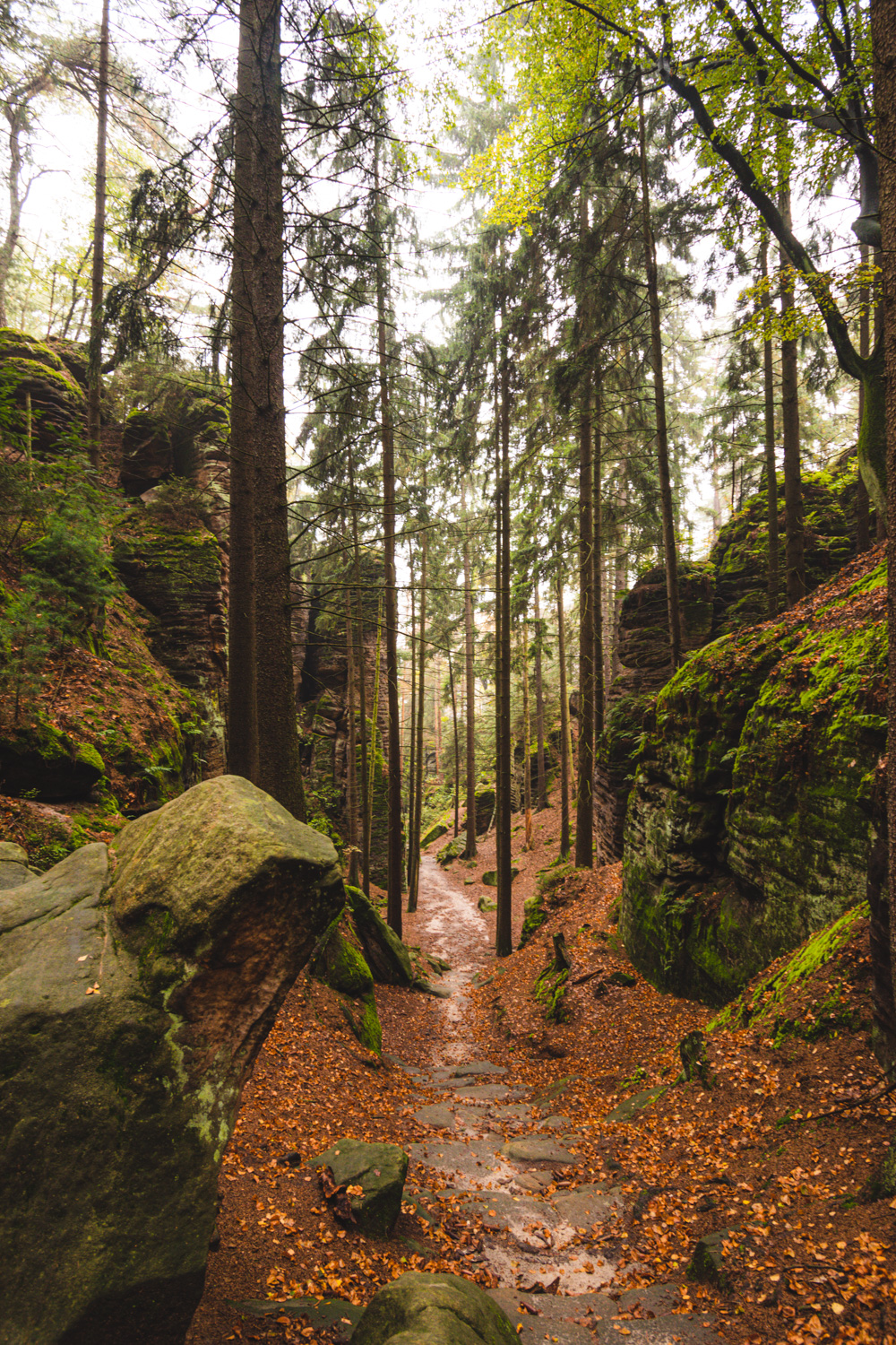 rotsen van prachov rocks wandelpad