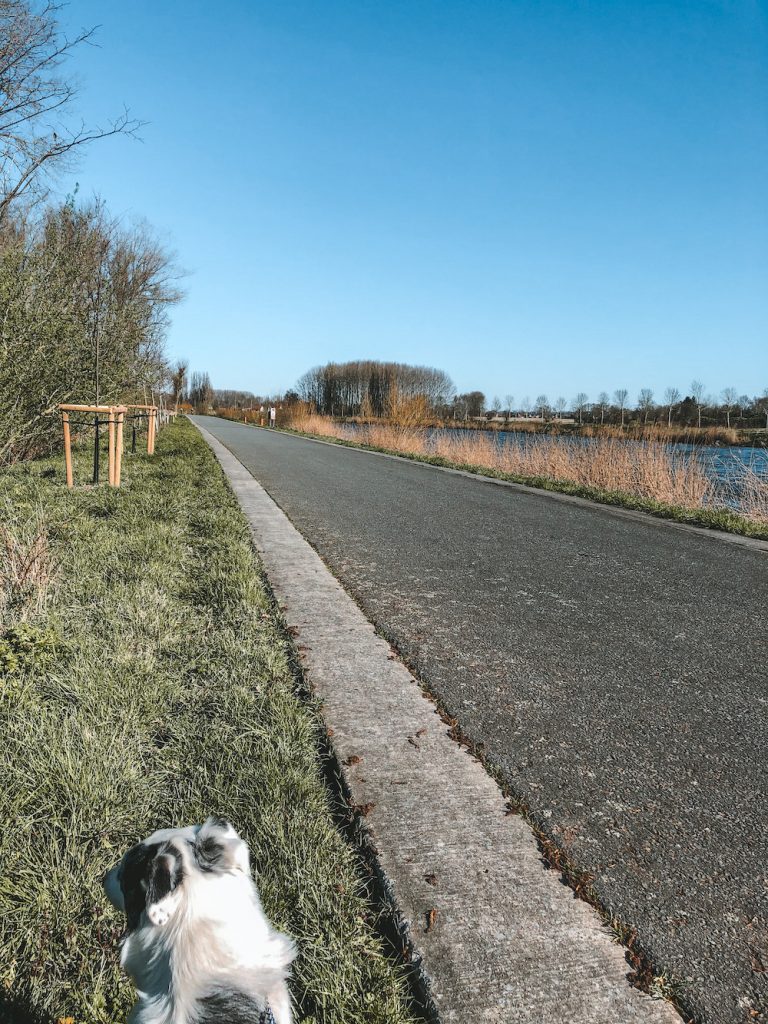 routes vlaamse ardennen belgie