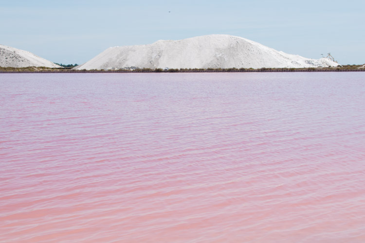 roze meer frankrijk salins aigues mortes-2