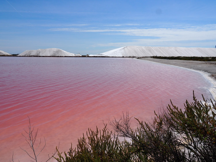 roze meer frankrijk salins aigues mortes