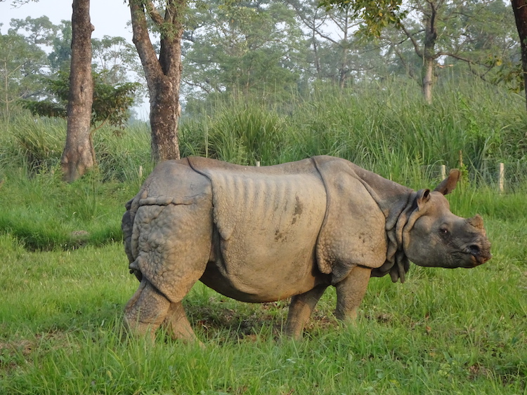 safari noord azie backpack route