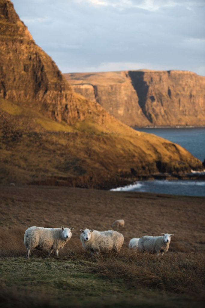 schapen Point Neist schotland