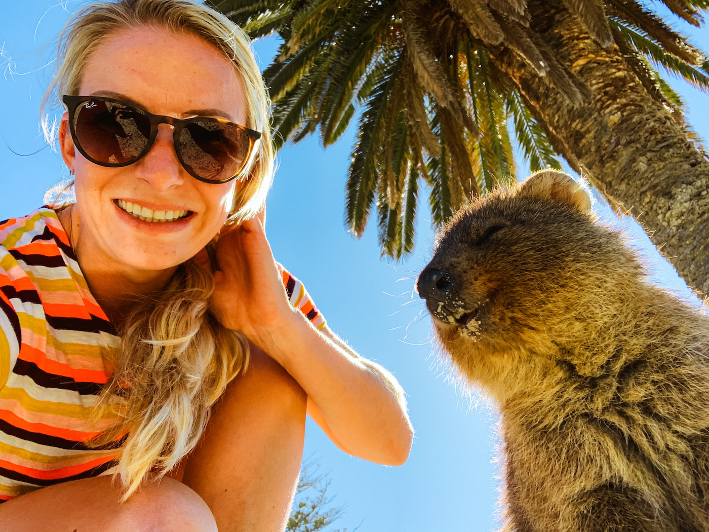 selfie met quokka