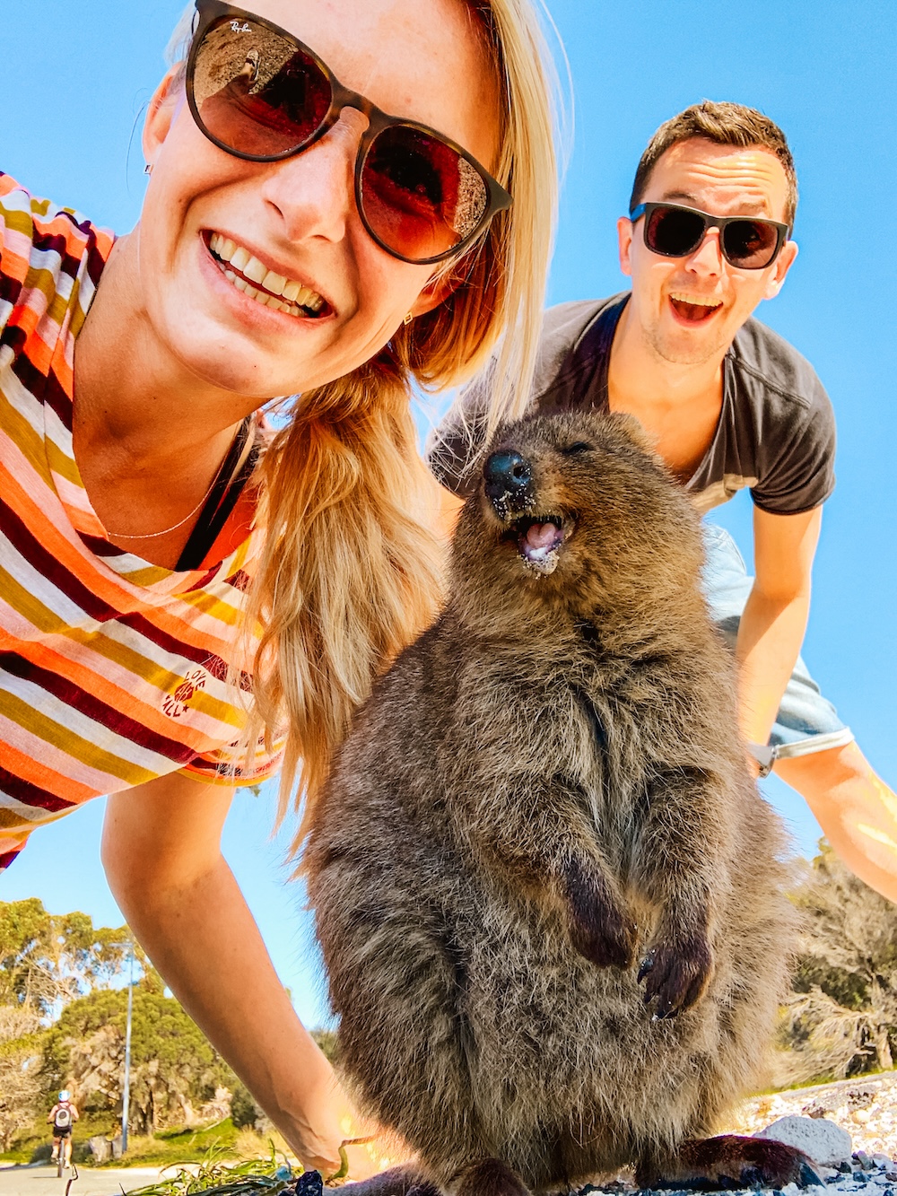 selfie quokka rottnest