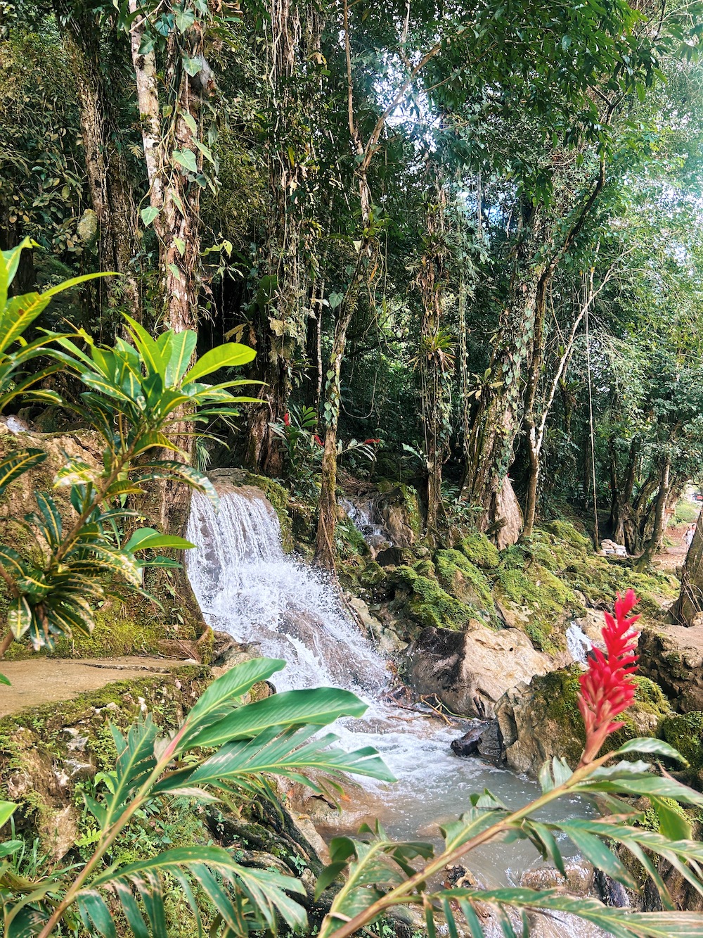 semuc champey backpacken guatemala