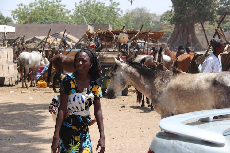 senegal markt