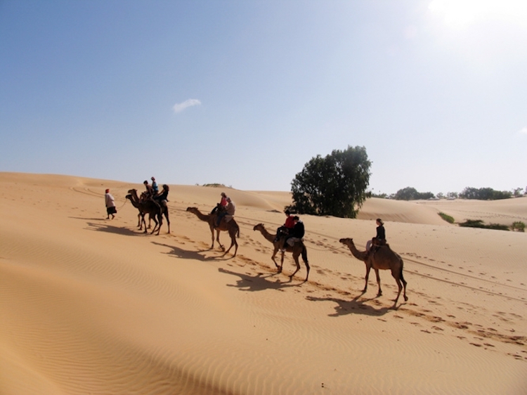 senegal woestijn van lompoul