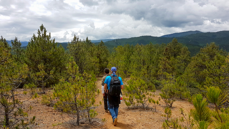 shangri-la-hike-yak-velden