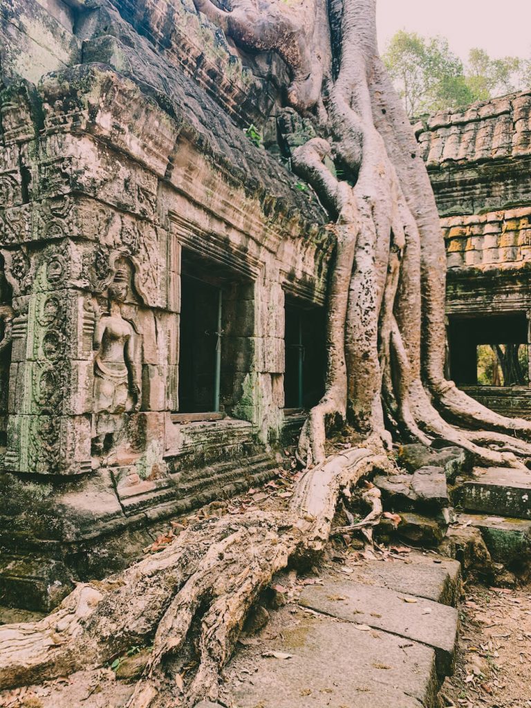 siem reap tomb raider cambodja