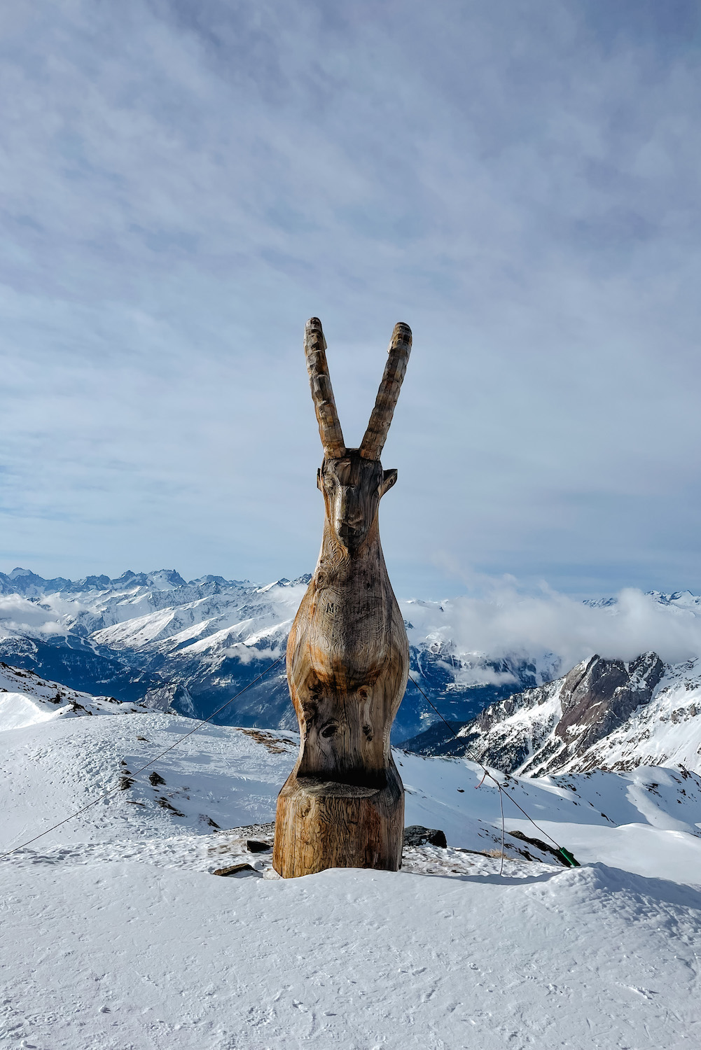 skigebied Les menuires steenbok