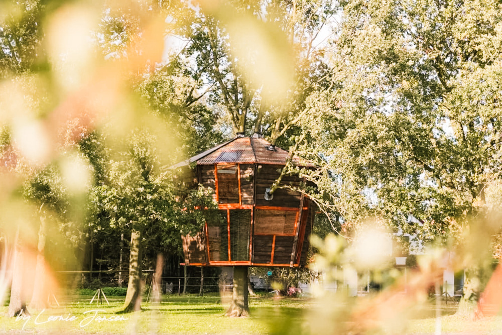 slapen in een boomhut in Halle Gelderland