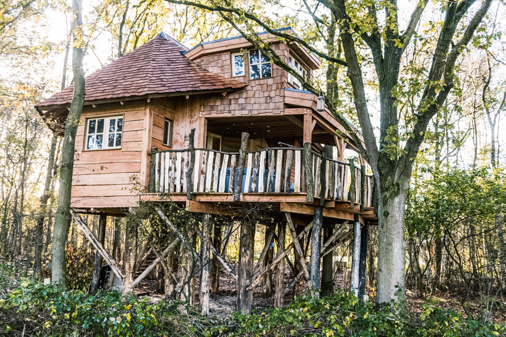 slapen in een luxe boomhut Drenthe