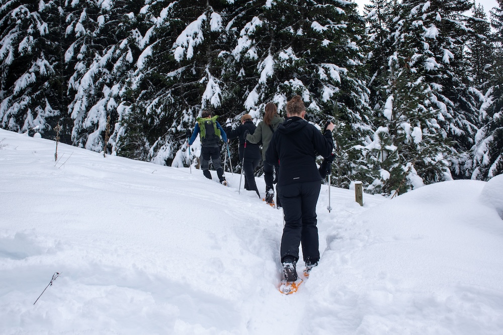 sneeuwschoenwandelen Méribel