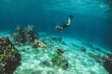 snorkelen, mooiste plekken